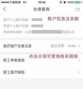 2023年济南社保官方网站登录入口及个人缴费明细查询_大风车考试网