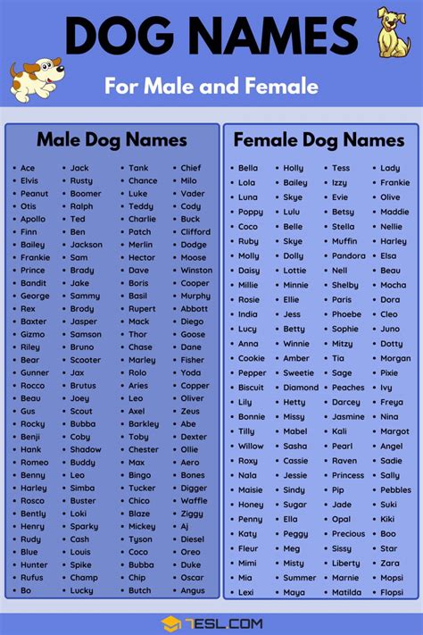 Image result for Java Language Crib Sheet