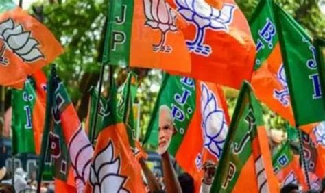 Cultural nationalism runs in BJP's veins | भाजपा की रगों में दौड़ता है ...