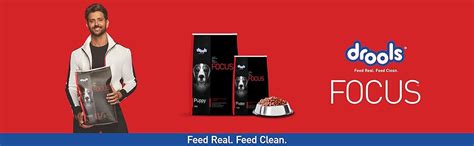 Drools Focus Puppy Super Premium Dry Dog Food Chicken Flavour