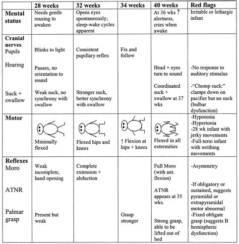Neuro Examination Template | AT A GLANCE