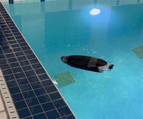 Image result for How Make Remote Control Boat