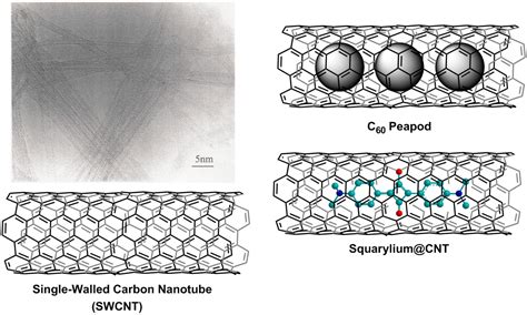 Carbon Nanotubes (CNTs) and CNT Dispersants | Tokyo Chemical Industry ...