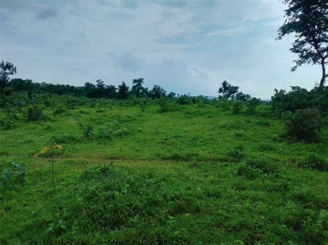 51 Guntha Agricultural/Farm Land for Sale in Murbad, Thane - by Shree ...