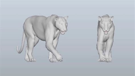 Tiger Walk Cycle Tutorial 的图像结果