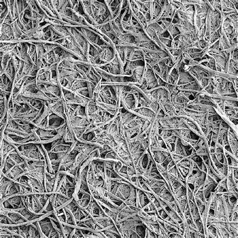 Graphite Paper Nature Journal 的图像结果