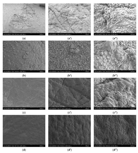 pH-Responsive Hydrogel Beads Based on Alginate, κ-Carrageenan and ...