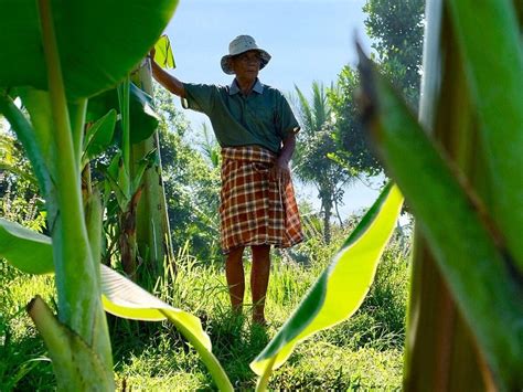 Lombok Tourism (2023): Best of Lombok - Tripadvisor