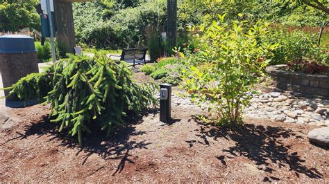 Main City Park Gresham | Gresham, OR | EV Station