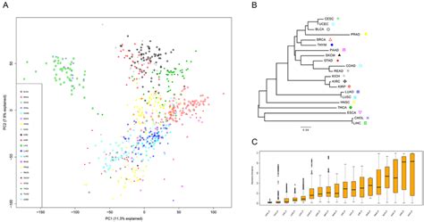 Transcriptome TreeMap 的图像结果