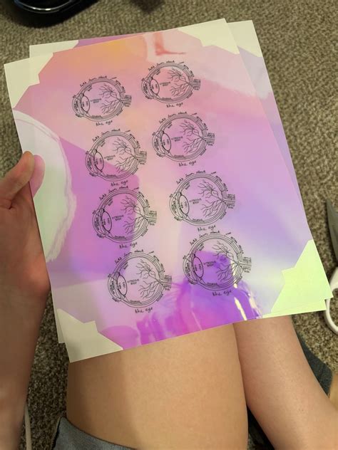 Image result for Optometry Drawing