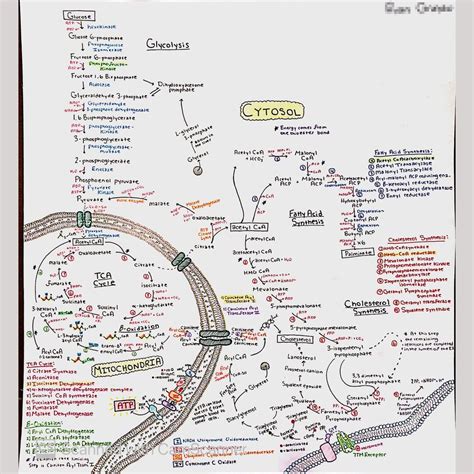 Biochemistry 的图像结果