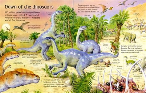 Usborne See Inside the World of Dinosaurs - Hardback