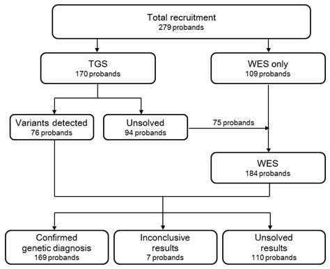 Diverse Genetic Landscape of Suspected Retinitis Pigmentosa in a Large ...