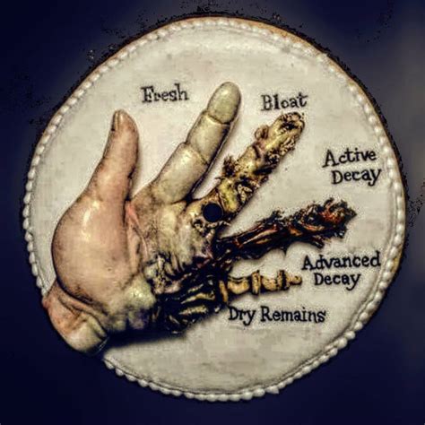 Decomposition Human Process 的图像结果