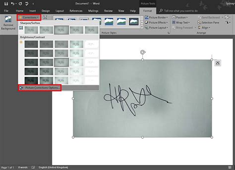 How to remove Signature background using Microsoft Word in 3 Quick ...