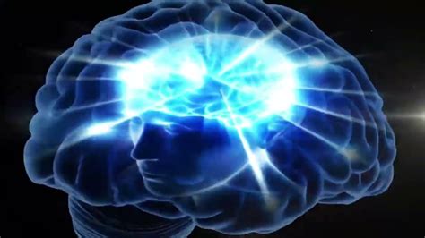 The “Winged Nightmare”: Understanding the Phobia You Didn’t Know Had a Name