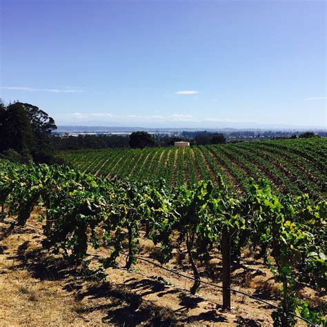 PARTAGE WINERY (2026) All You Need to Know BEFORE You Go (with Reviews ...