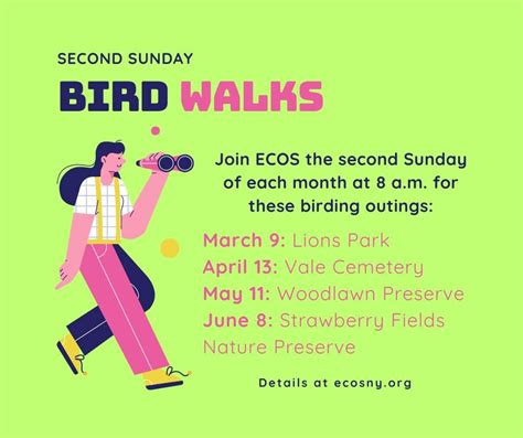 Second Sunday Bird Walk: Urban Hotspot at Vale Cemetery, Vale Cemetery ...