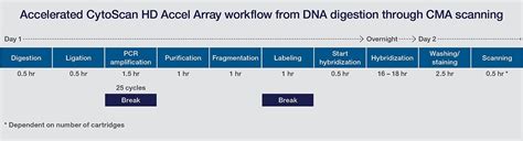 Image result for CytoScan Microarray OncoScan
