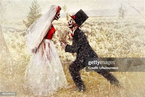 Image result for Dead Bride Review