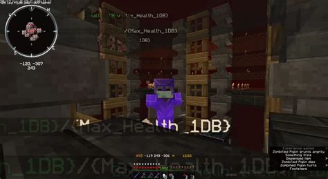 Image result for Zombie Pigman Farm Java