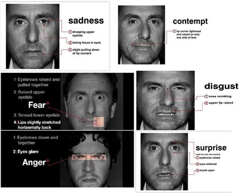 Microexpression 的图像结果