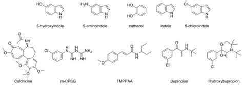 Allosteric Modulators of Serotonin Receptors: A Medicinal Chemistry Survey