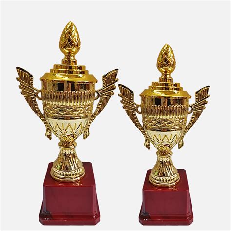Bareeze Pure Gold Premium Trophy Cup for Sport, Event, Ceremony, Art ...