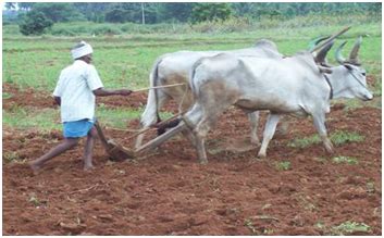 Agriculture :: Tillage Operation for Crops