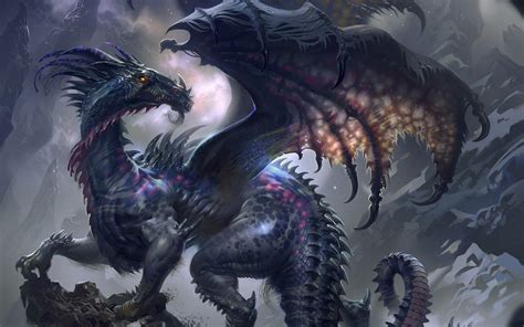 Black And Purple Dragons