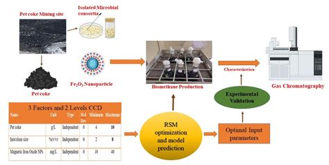 Optimization of biomethane production from pet coke through anaerobic ...