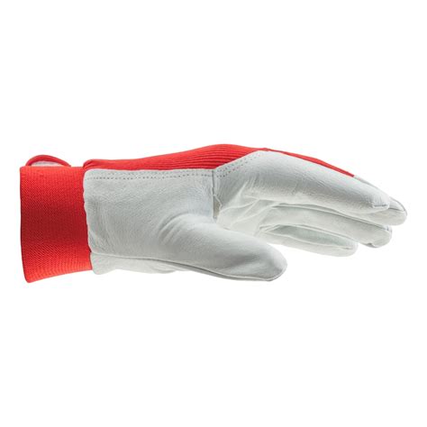 Buy Protective glove Protect online