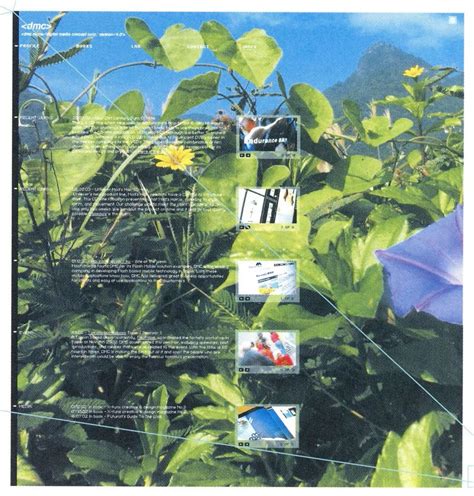 Gen-X Soft Club | Are.na | Graphic design posters, Poster design ...