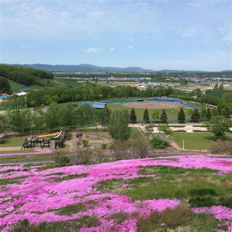 RECREATION PARK Guide (2026) All You Need to Know BEFORE You Go (with ...