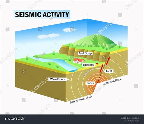 Seismic Activity Diagram Science Education Vector Stock Vector (Royalty ...