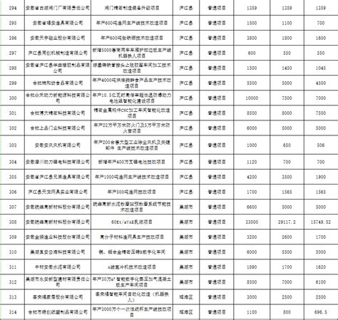 公示|合肥市工业固定资产投资项目库2021年第一批拟入库项目 - 安徽产业网