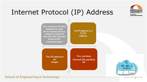 IP Addressing in Computer Networks 的图像结果