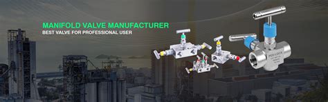 Manifold Valve, 2-3-5 Way Manifolds Valve, Supplier, Manufacturer, India