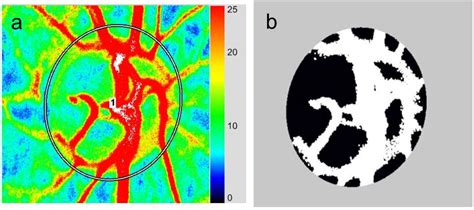 Basic Technology and Clinical Applications of the Updated Model of ...
