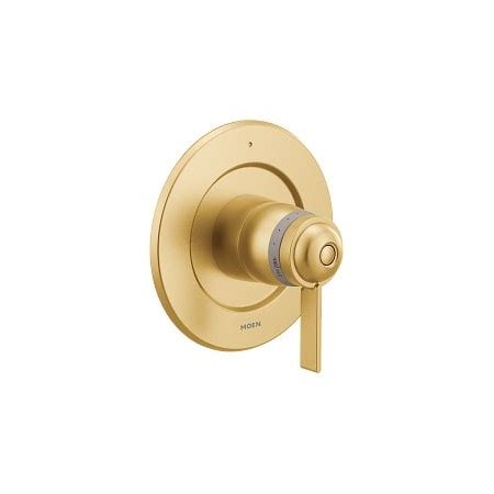 Moen Cia Exact Temp V/O Bg T4621BG | Zoro