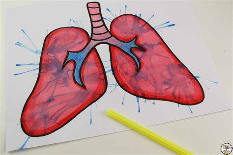 Easy Drawing Of Lungs With Labels / Single Continuous Line Art Of Lungs ...