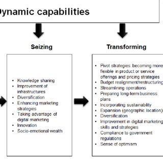 Image result for Dynamic Capability