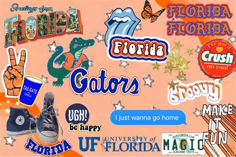 Download University Of Florida F Logo Wallpaper | Wallpapers.com