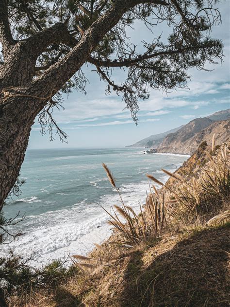 IPhone 12 Camera Features 的图像结果