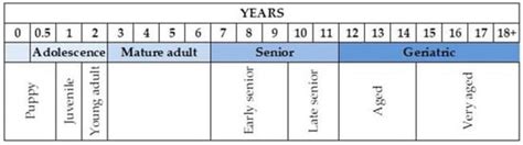 Dog Aging: A Comprehensive Review of Molecular, Cellular, and ...