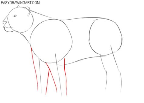 Image result for Tiger Drawing Tutorial