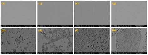 Pitting Corrosion Behavior and Surface Microstructure of Copper Strips ...