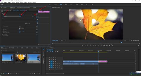 Adobe premiere pro torrent 2021 - mywebpaas