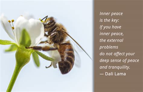 Inner Peace 的图像结果